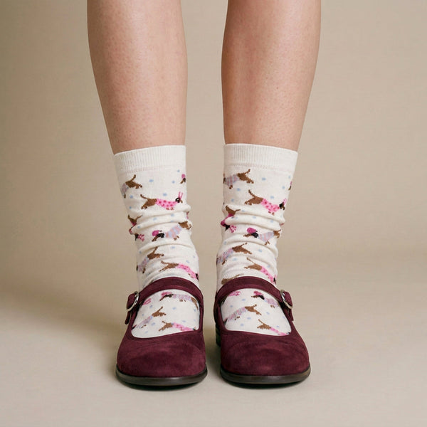 Chaussettes Teckel - Blanc