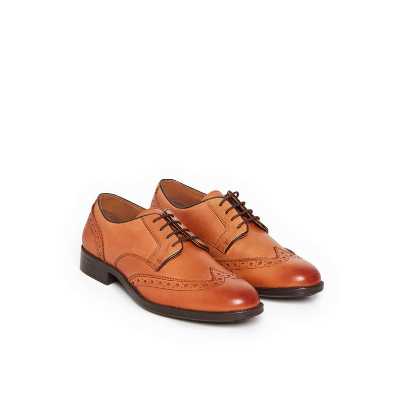 DERBY FAVREUIL MARRON - André